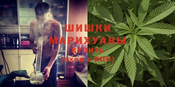 метадон Заводоуковск