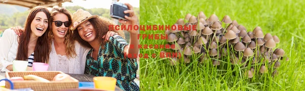 метадон Заводоуковск